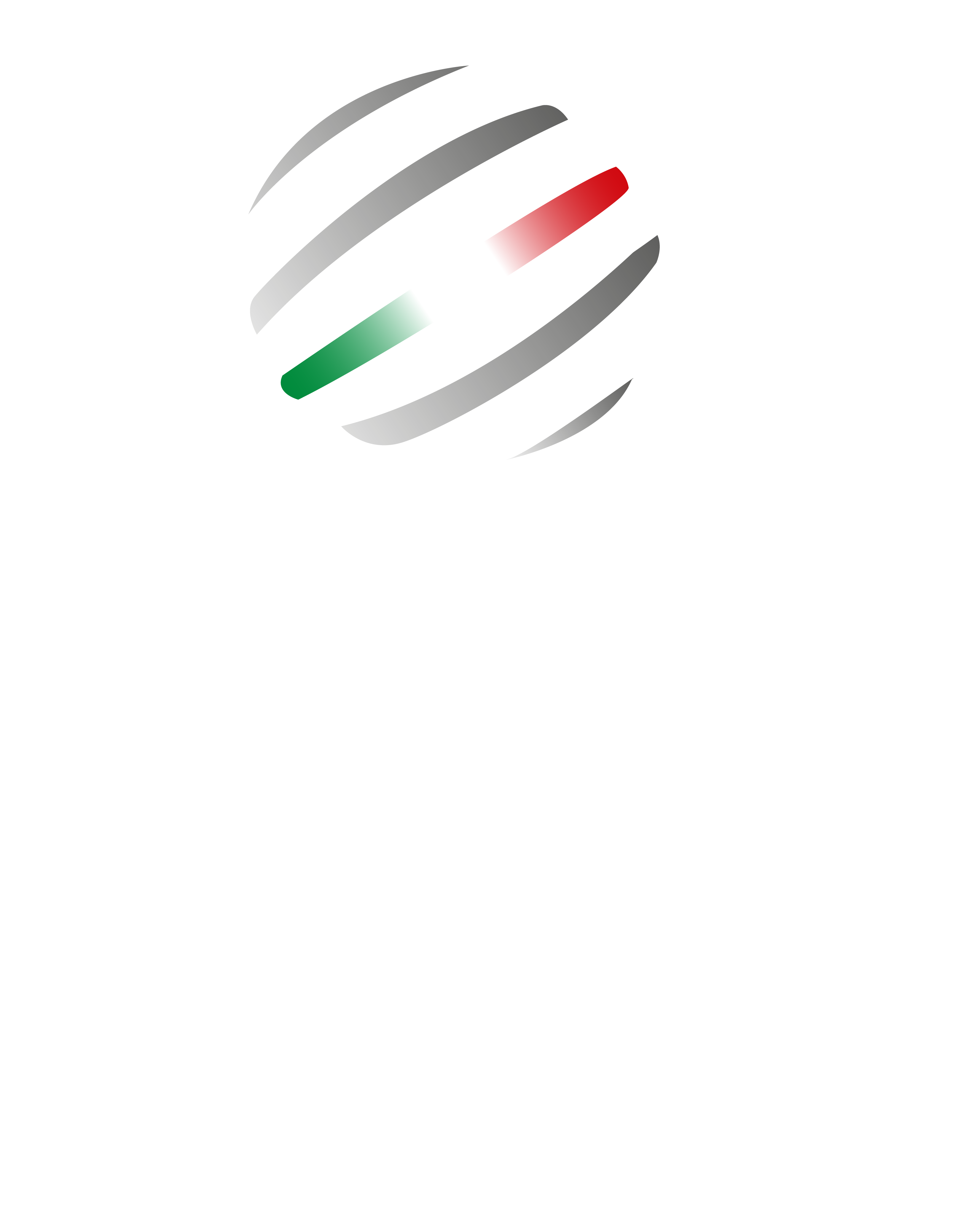 Comitato Italiano Paralimpico Comitato Italiano Paralimpico
